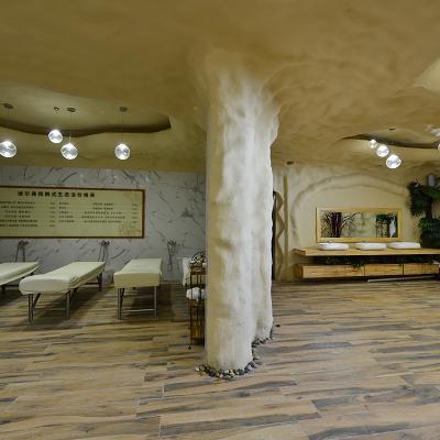 公司环境